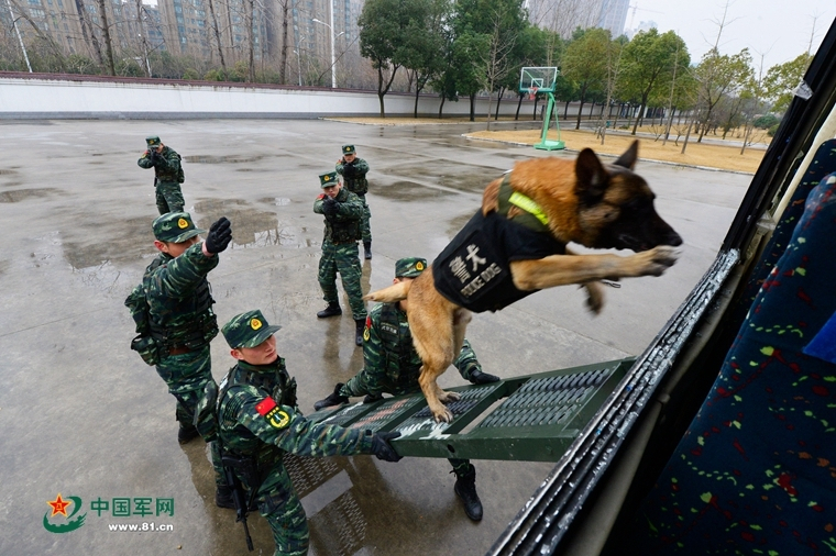 心理测试，你最喜欢的颜色是什么，测你的性格特点？红蓝绿黄 